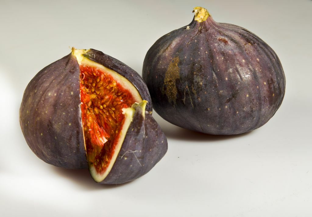fruit figue violette
