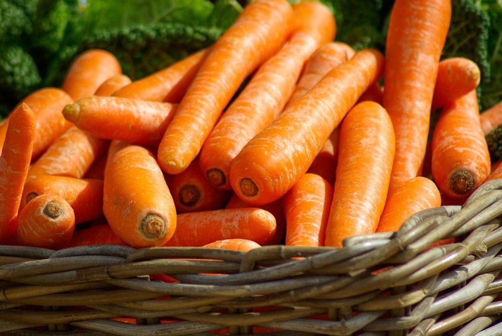 carotte panier