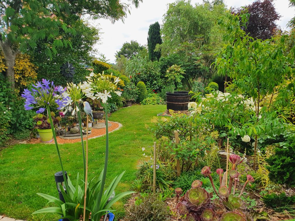 Un jardin écolo et fleuri toute l'année : comment faire