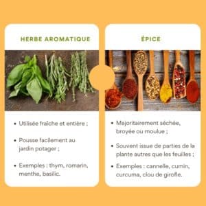 herbe aromatique epices