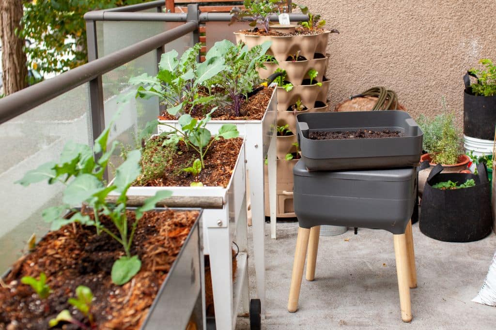 Sitemapcdatahttphauscellcare1compotager Sur Pied Lidlnull