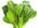 épinard - Légume