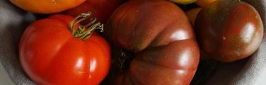 Tomate - Nourriture naturelle