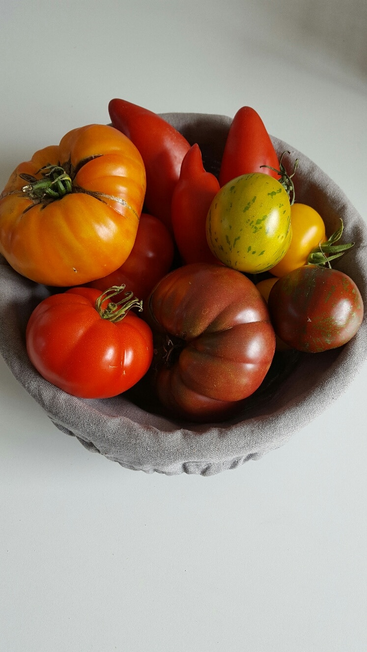 Tomate - Nourriture naturelle