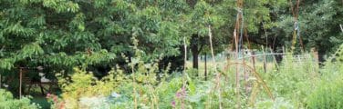 Ecolo-bio-nature - Jardin
