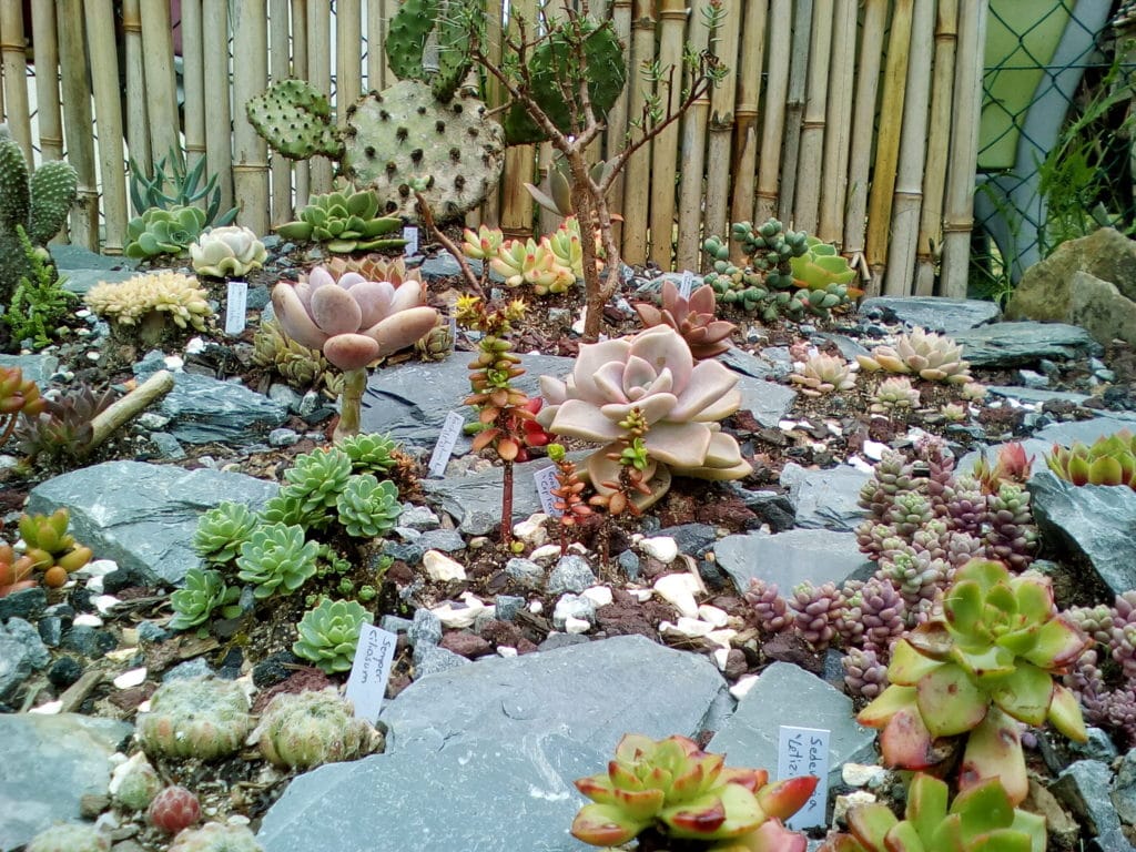 Cration Et Amnagement De Jardins En Illeetvilaine Cration Et Amnagement De Jardins En Illeetvilaine