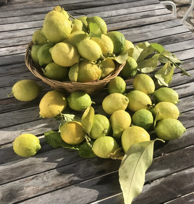 Citron vert - citron