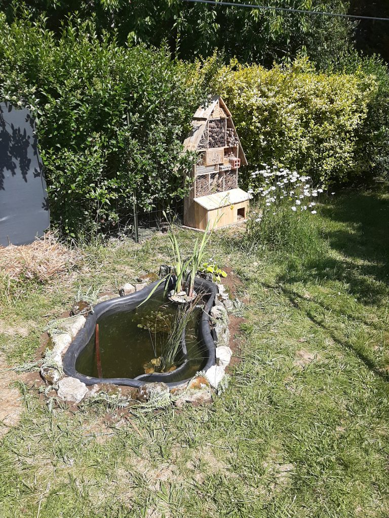 Ressources en eau - Communauté végétale