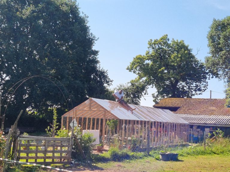Homme sur une serre en construction, ciel bleu.
