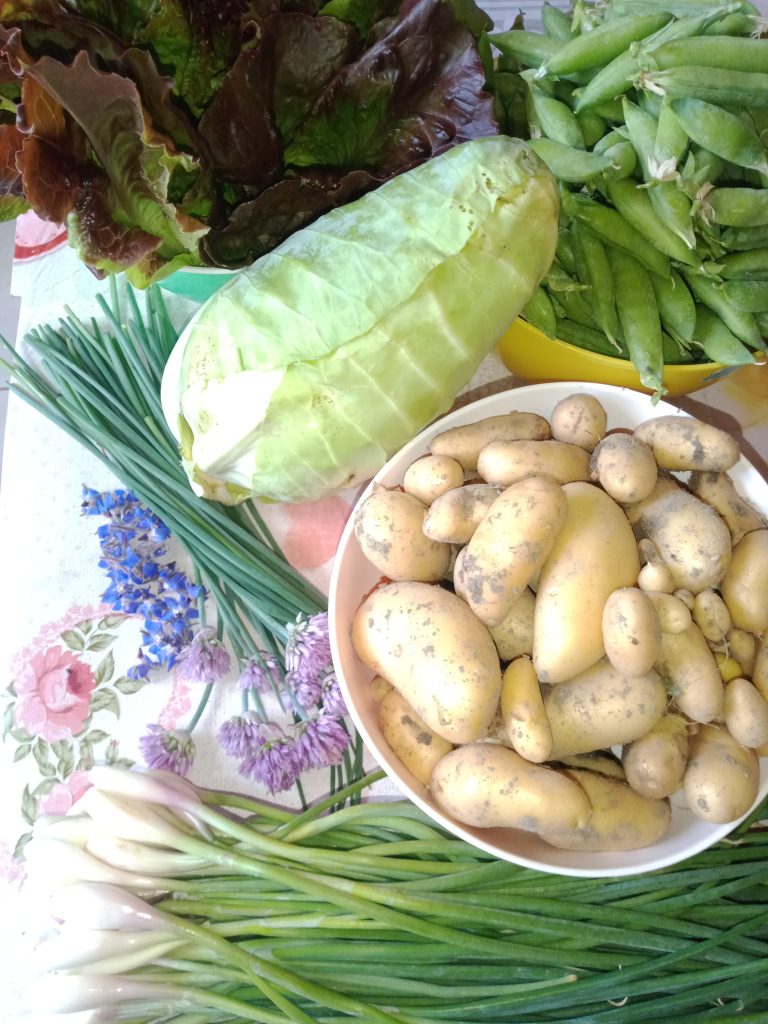 Légumes variés : pommes de terre, chou, oignons.