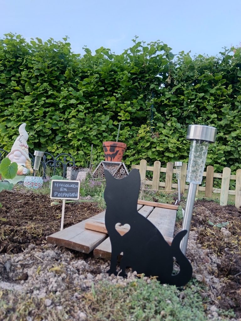 Silhouette de chat sur un sol de jardin