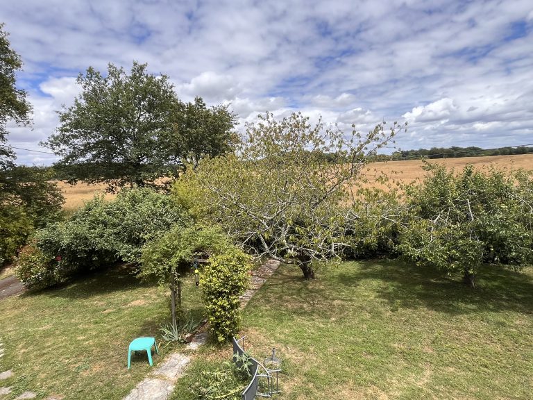 Jardin verdoyant avec arbres et ciel nuageux