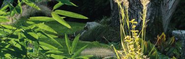 Affiche fete des plantes plessis grammoire