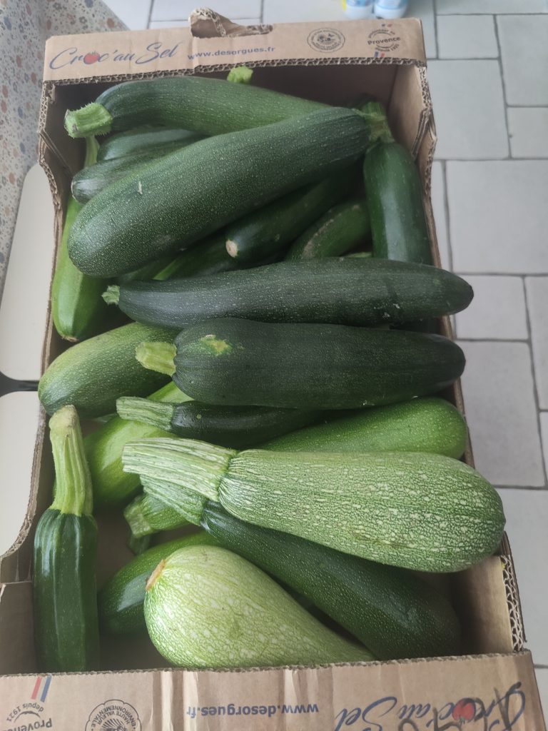 Courgettes variées dans un carton en bois