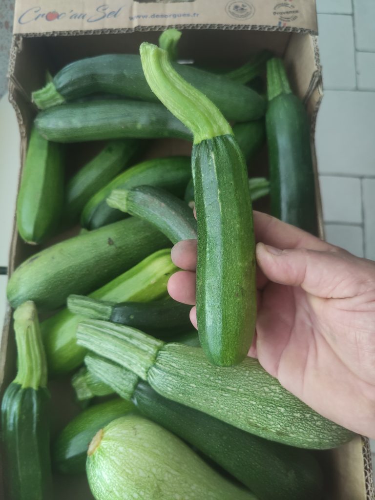 Courgettes vertes dans une cagette en carton