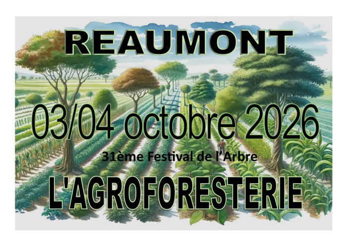 Affiche finale