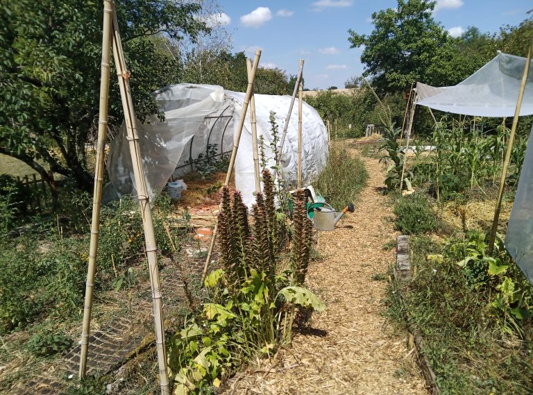 Jardin potager avec serre et chemins en paille.