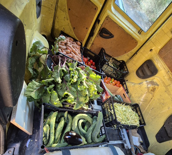 Légumes variés dans une camionnette jaune