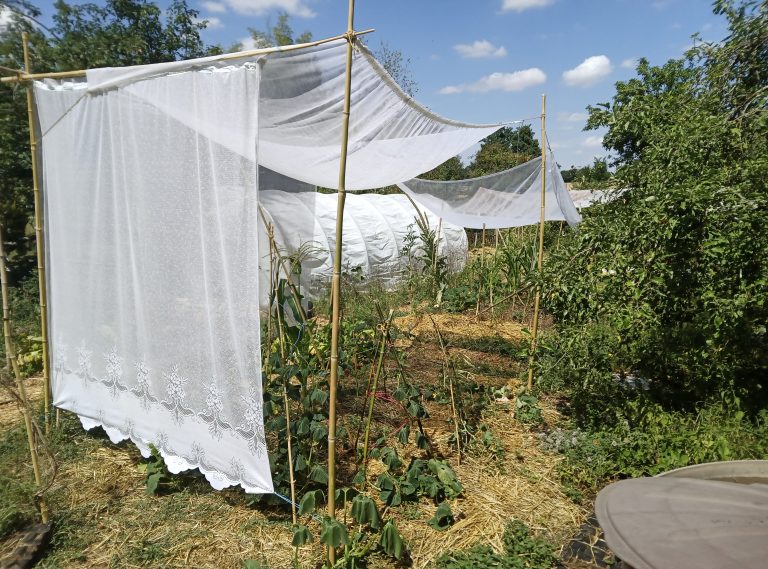 Tonnelles en tissu dans un jardin potager