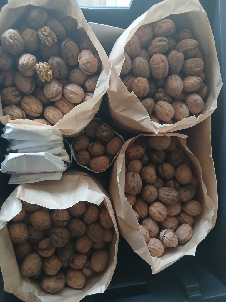 Noix dans des sachets en papier.