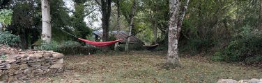 Hammocks suspendus entre les arbres, espace naturel.