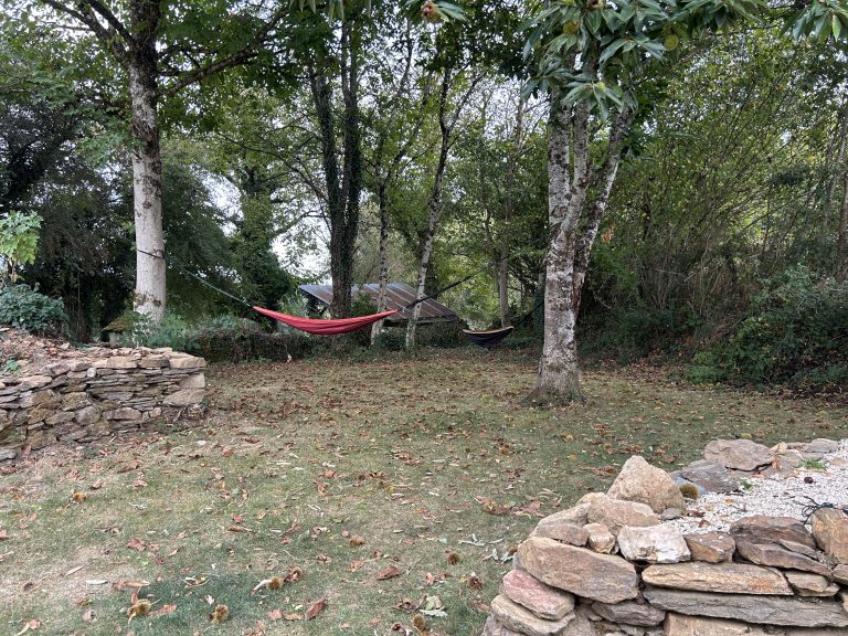 Hammocks suspendus entre les arbres, espace naturel.
