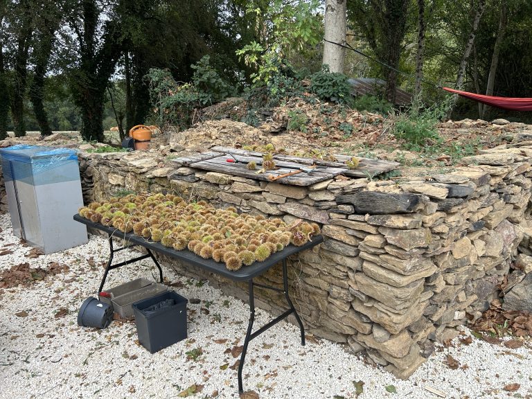 Murs en pierre, table avec écorces, nature environnante.