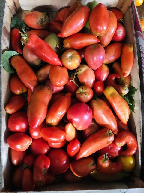 Poivrons rouges dans une caisse en bois